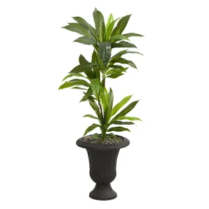 3.5’ Dracaena Artificial Plant in Charcoal Urn (Real Touch)