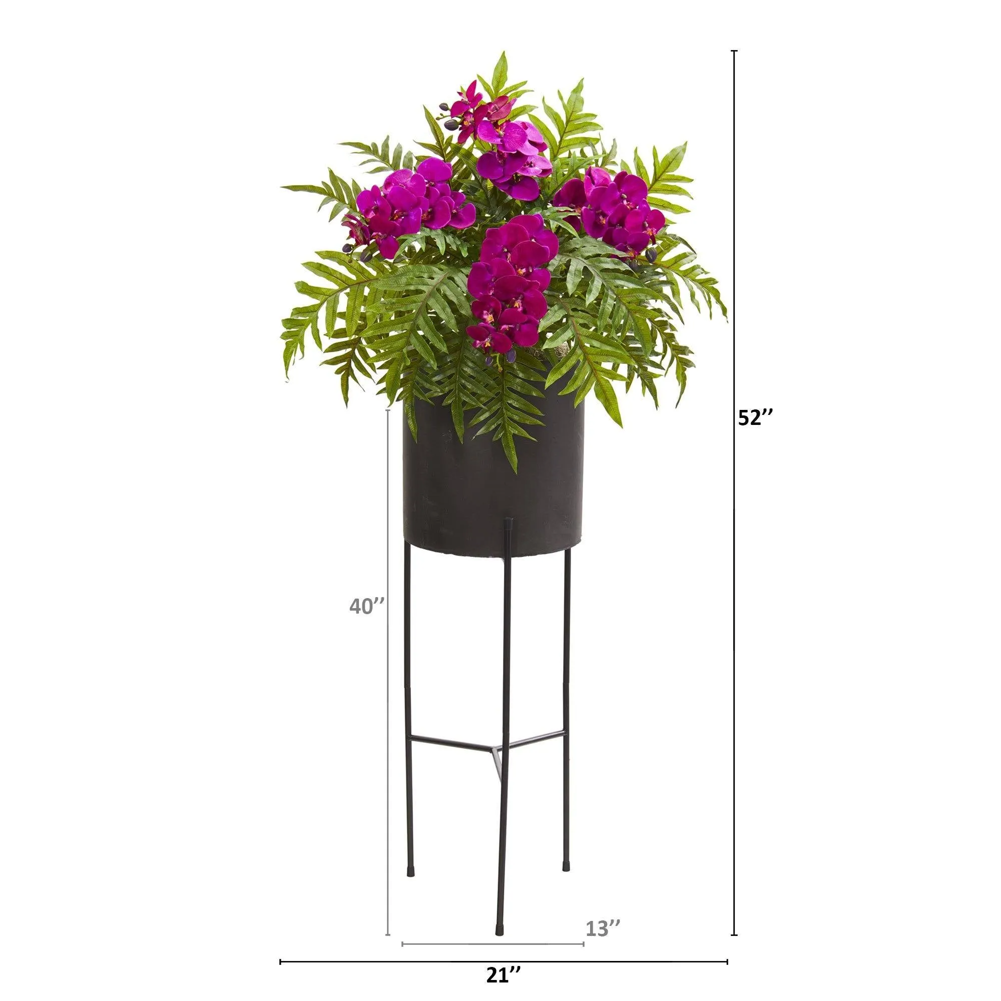 52” Phalaenopsis Orchid and Fern Plant in Black Planter