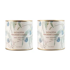 Anko Pack of 2 Eucalyptus Scented Soy Blend Candles | Long-Lasting 125-Hour Burn Time | Invigorating White Moss, Eucalyptus, and Oak Fragrance | 720g Total | Perfume Candles for Home