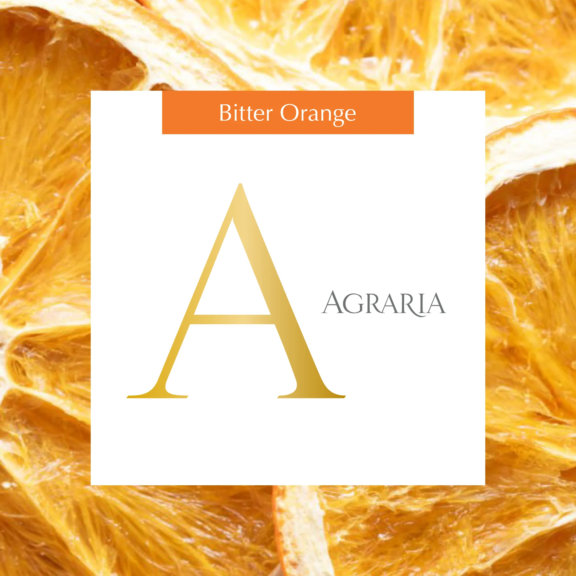 Bitter Orange Mini