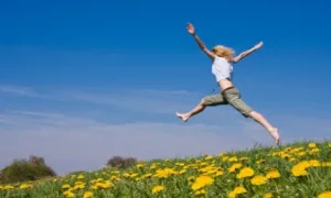 Energy - Aromatherapy Premium Fragrance Oil