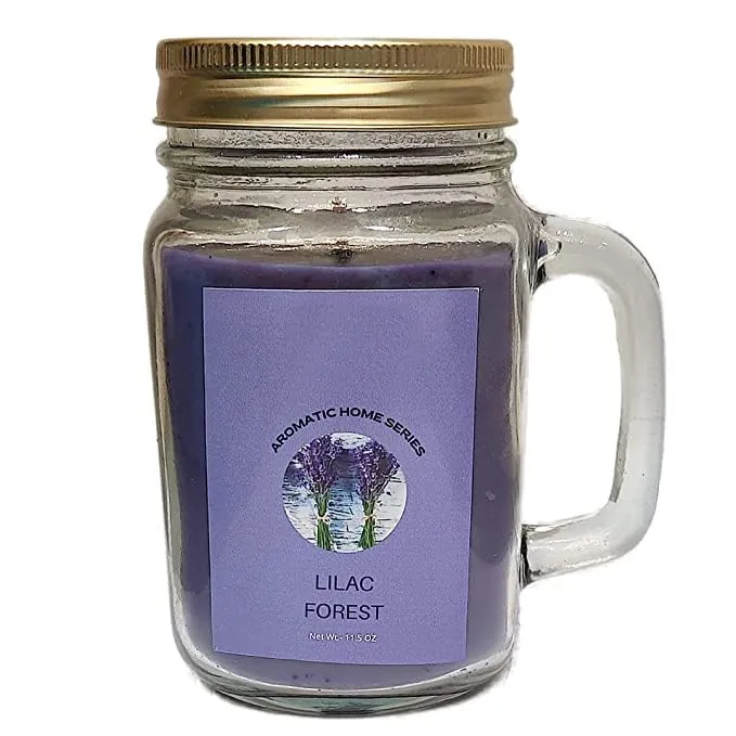 Floish Decor Premium Scented Redolent/Mason Jar Candle | Home Decor Candle | Scented Candles for Gift (Lavender)