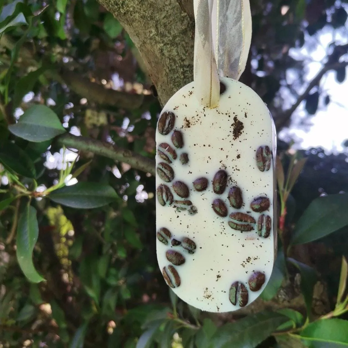 FLORAL REFRESHENER:  Coffee