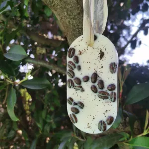 FLORAL REFRESHENER:  Coffee
