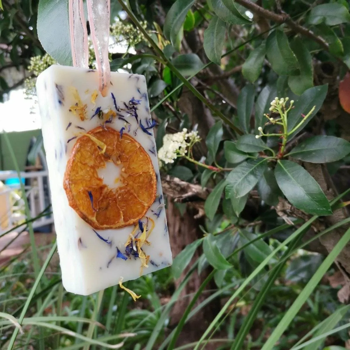 FLORAL REFRESHENER: Zesty Lemon