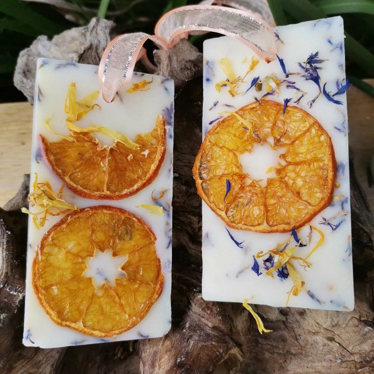 FLORAL REFRESHENER: Zesty Lemon