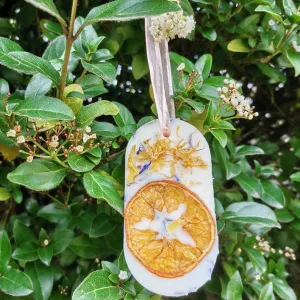 FLORAL REFRESHENER: Zesty Lemon