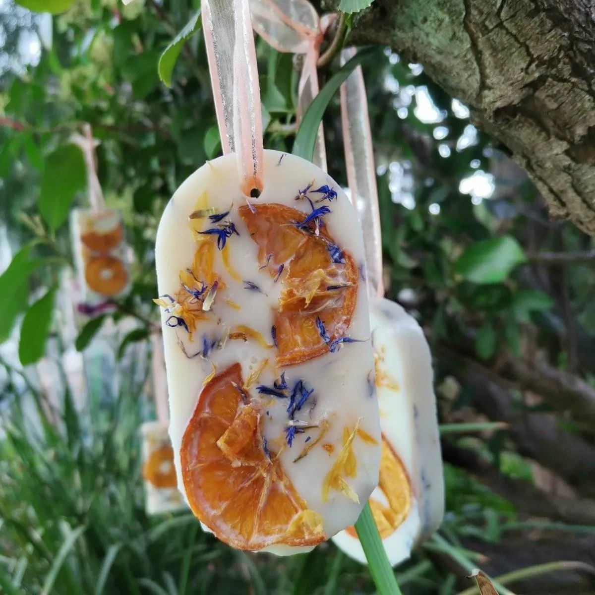 FLORAL REFRESHENER: Zesty Lemon