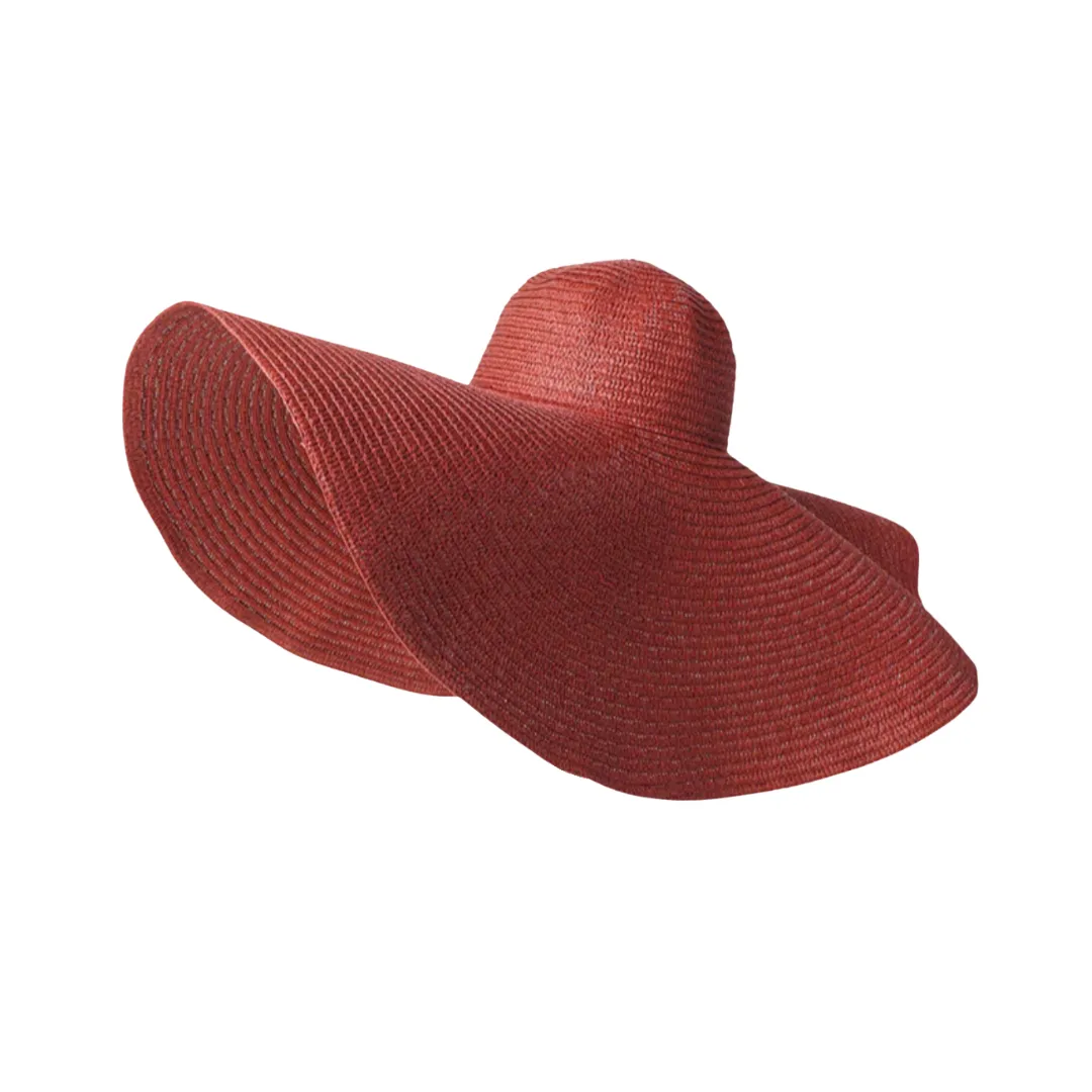 Giant Brim Woven Beach Hat