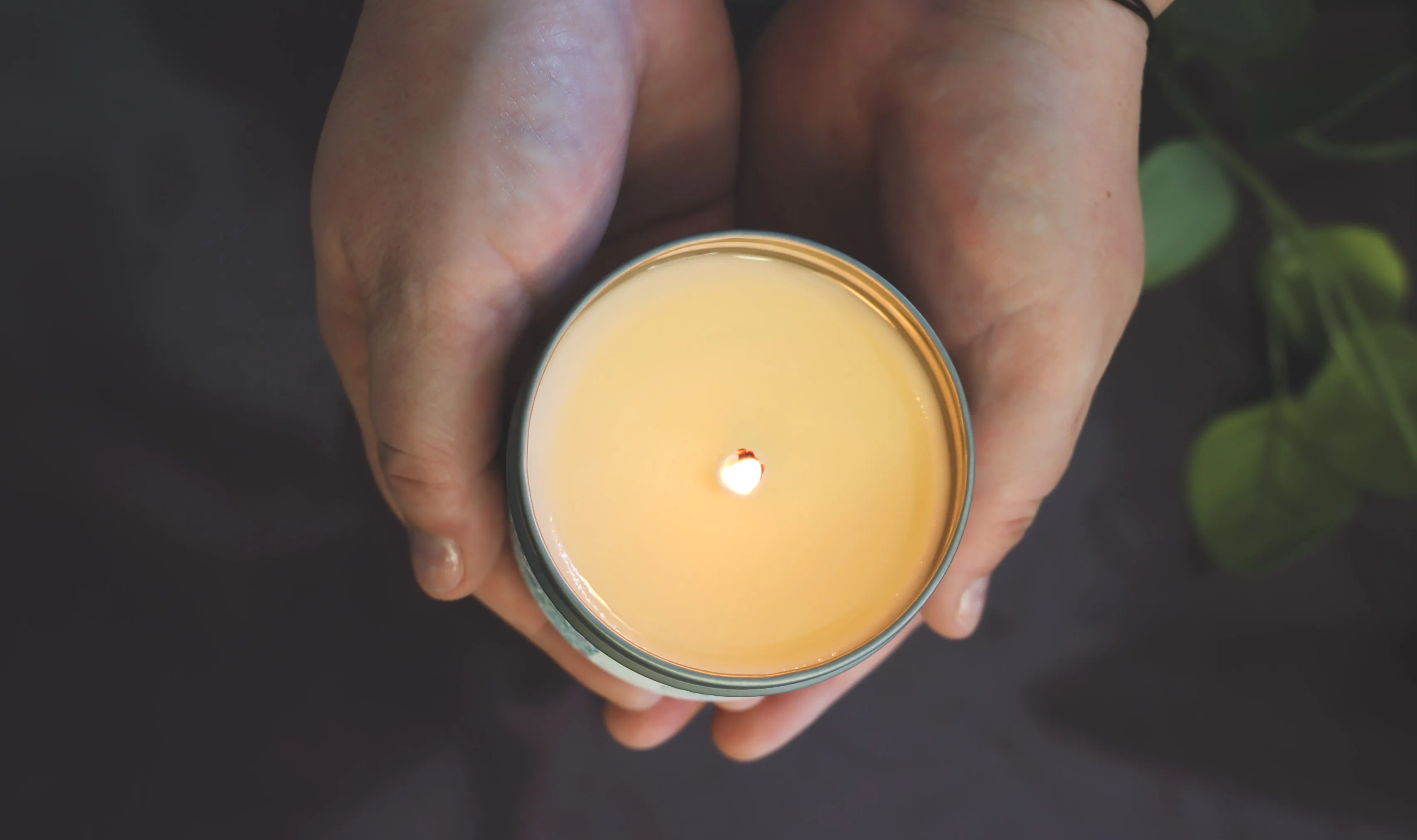 Pine Soy Candle