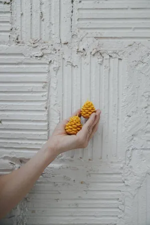 Sml Pinecones Candles
