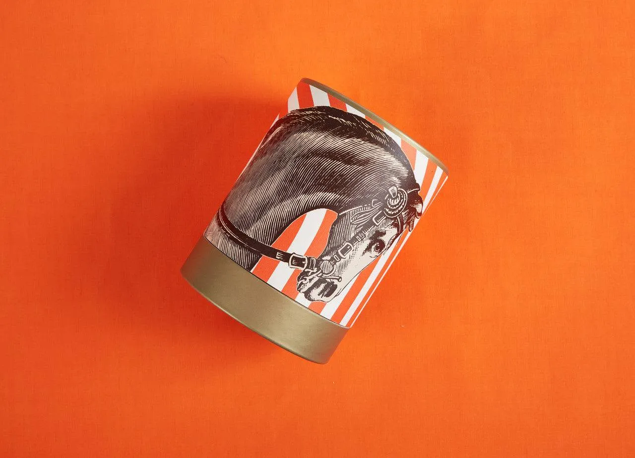 ThomasPaul Wild Horses Scented Candle