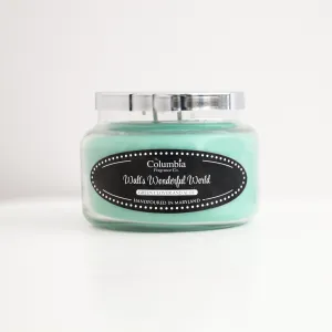 Walt's Wonderful World candles